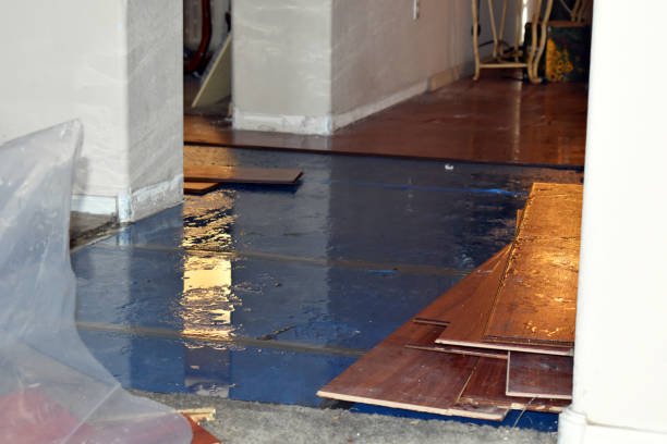 Professional Sewage Cleanup technician working in Olga, WA
